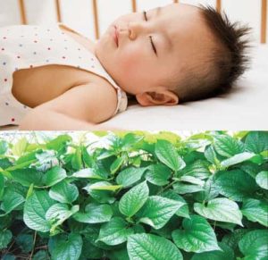 cach-chua-tri-mo-hoi-trom-cho-be-bang-la-lot