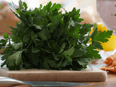 cho con bu tranh an thuc pham nao