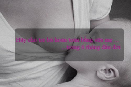 su that sua cong thuc chi la sua bo va hoa chat