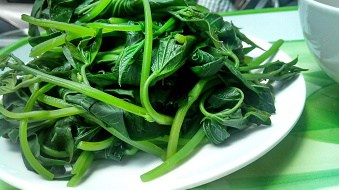 thuc pham giup me nhieu sua ma khong ngai tang can