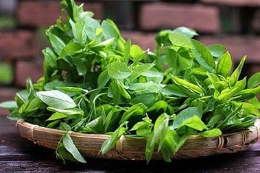 thuc pham mang lai dong sua mat lanh cho con